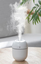 Load image into Gallery viewer, Aromatherapy Diffuser