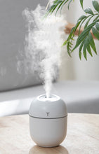 Load image into Gallery viewer, Aromatherapy Diffuser
